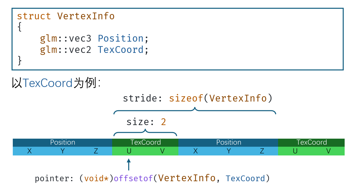 glVertexAttribPointer参数示意图